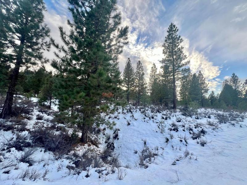 1121 GREAT SPIRT, Portola, CA 96122 Land For Sale  MLS# 20240014