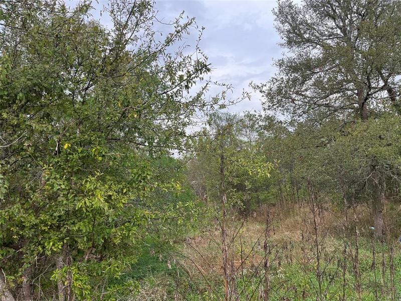 Lot 59-61 Valley Ln, Smithville, TX 78957 for Sale