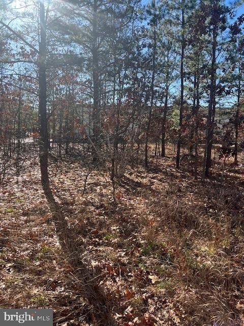 Lakehurst, Ocean County, NJ Undeveloped Land, Homesites for sale Property ID: 418555899