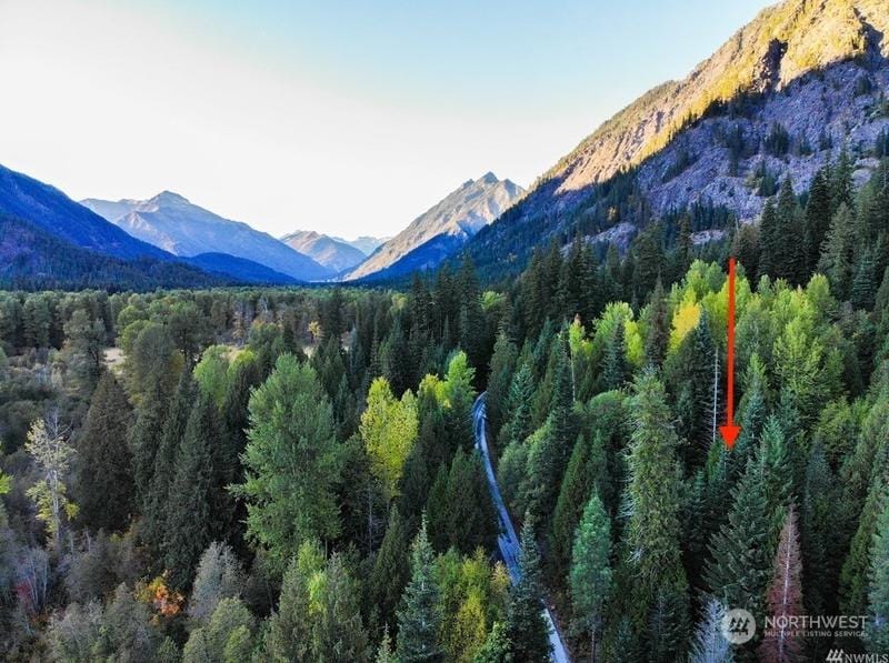 25495 White River Rd, Leavenworth, WA 98826 - MLS 2160820 for Sale
