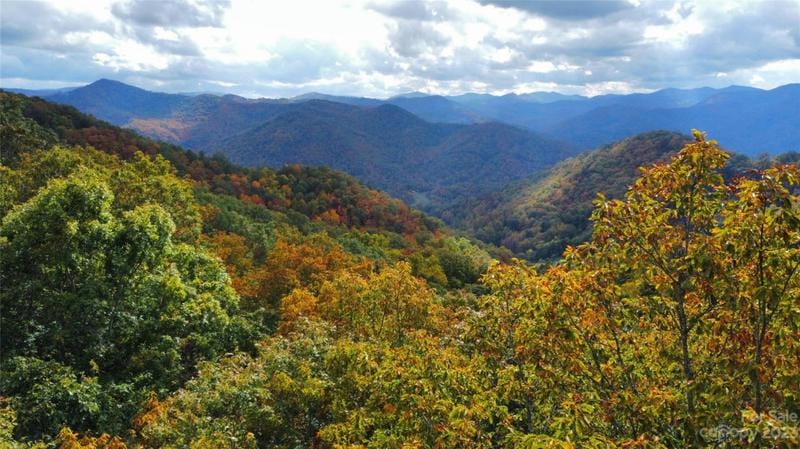 000 ALMANAC LANE, Tuckasegee, NC 28783 Land For Sale  MLS# 4095729