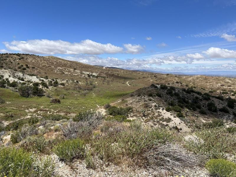 Y6-128 Y6-128 Vic Avenue, Pearblossom, CA 93553 for Sale