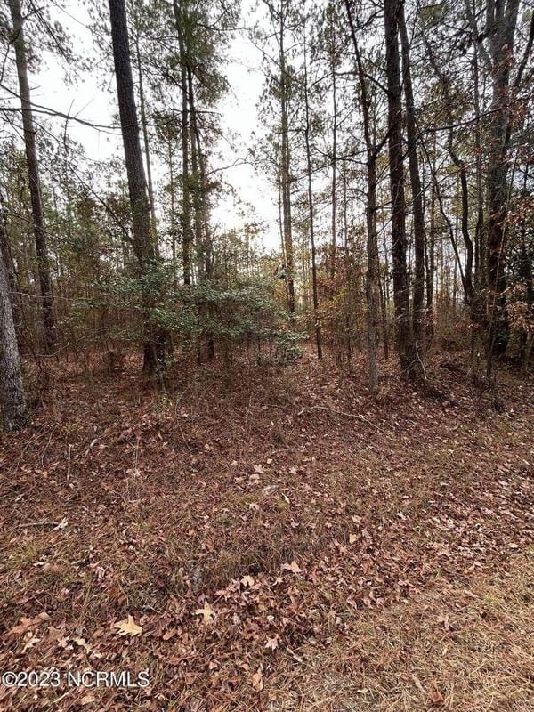 Whispering Pines, Moore County, NC Undeveloped Land for sale Property ID: 418486386