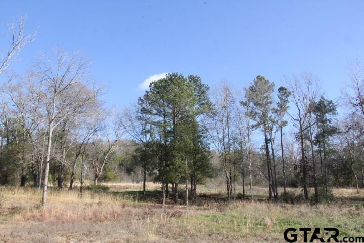 950 Stone Chimney Rd. (Lot 17 CR 3608), Bullard, TX 75757 for Sale