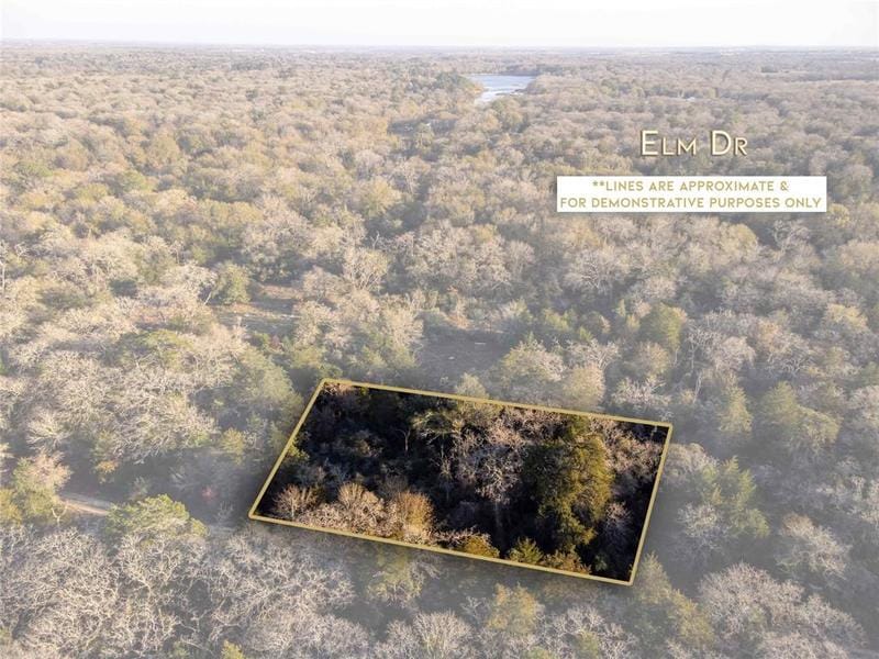 2506 Elm Drive, Caldwell, TX 77836 for Sale