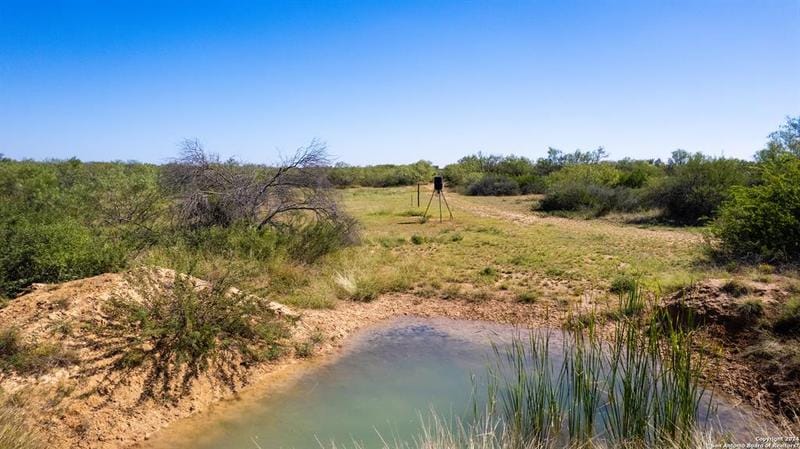 1150 CR 4715, Dilley, TX 78017 for Sale