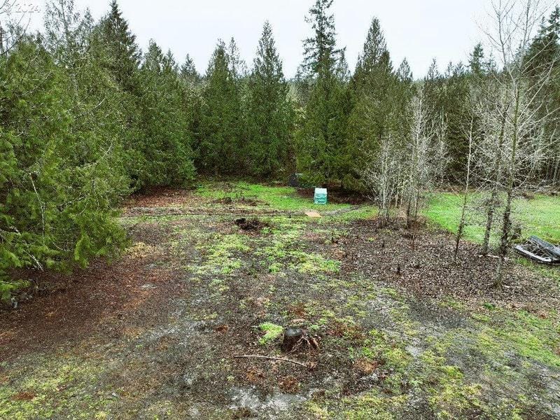 126 RICE PARK RD, Silver Lake, WA 98645 Land For Sale  MLS# 24416397