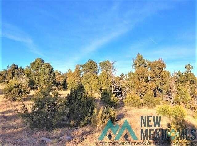 Lot 2 CRA20 Road, Las Vegas, NM 87701  612573642 for Sale