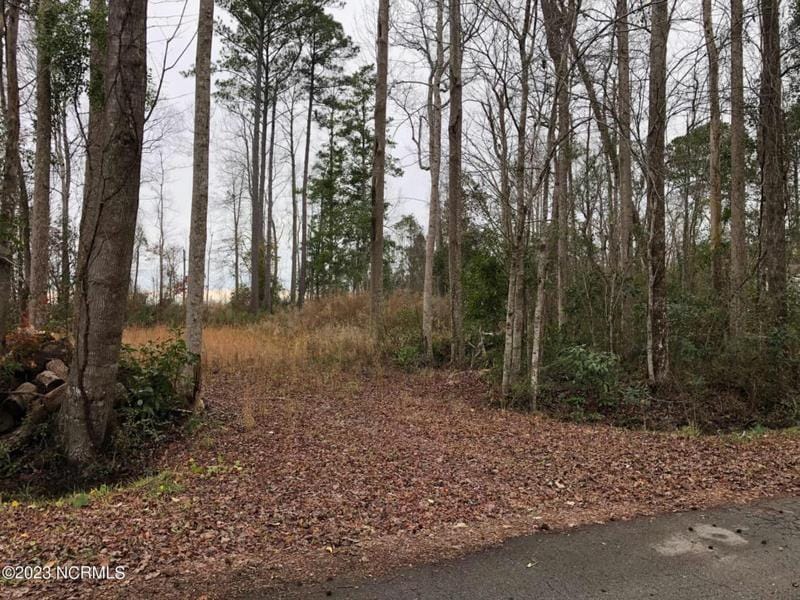 157 COUNTRY CLUB LN, Newport, NC 28570 Manufactured Home For Sale  MLS# 100419913