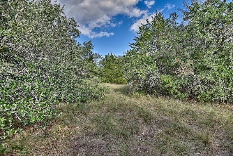 Tract 2 Palestine Road, Brenham, TX 77833 for Sale
