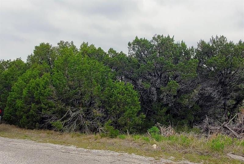 3117 Canadian River Trl, Granbury, TX 76048 for Sale