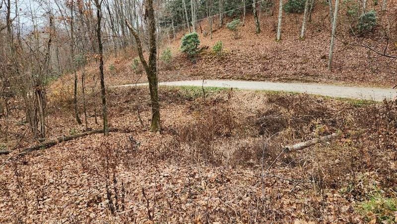 Franklin, Macon County, NC Undeveloped Land, Homesites for sale Property ID: 418689428