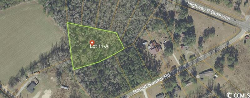 ROUND SWAMP RD. Loris, SC 29569 Land For Sale  MLS# 2325252