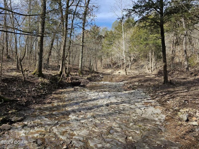 Pineville, Mc Donald County, MO for sale Property ID: 418857896