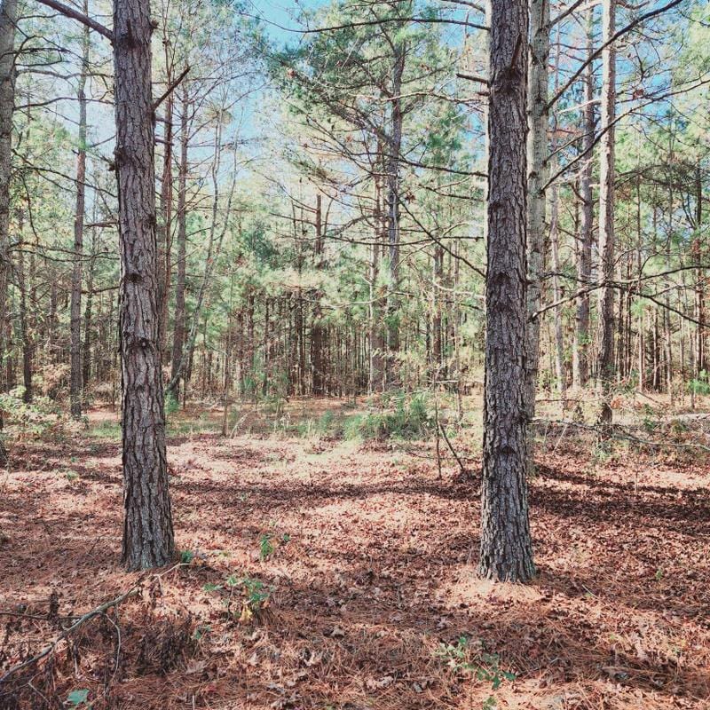 Wrens, Jefferson County, GA Undeveloped Land for sale Property ID: 418724296