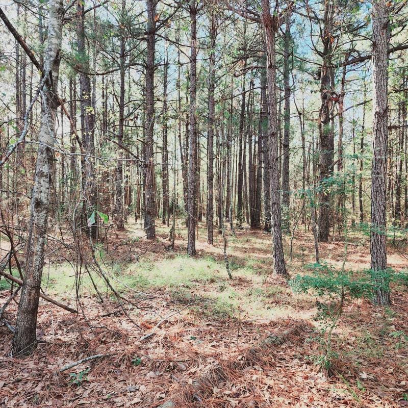 Wrens, Jefferson County, GA Undeveloped Land for sale Property ID: 418724293