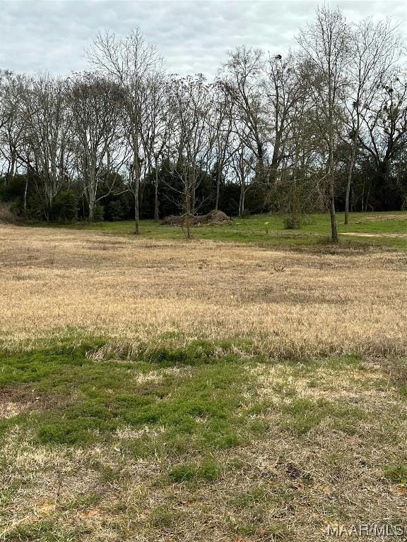 437 COUNTY ROAD 758, Enterprise, AL 36330 Single Family Residence For Sale  MLS# 549179