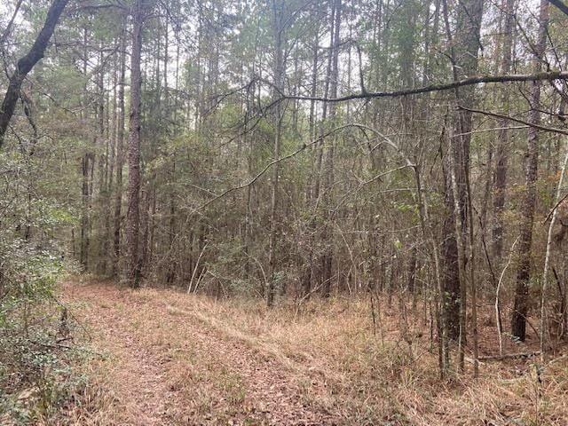 County Road 2502, Shubuta, MS 39360  MLS# 33483 for Sale