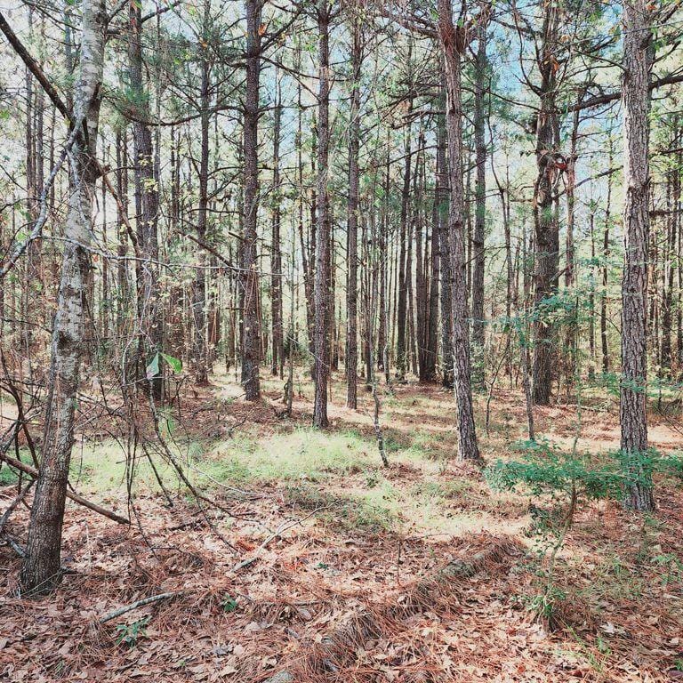 16 Hillside Dr, Wrens, GA 30833  MLS# 524499 for Sale