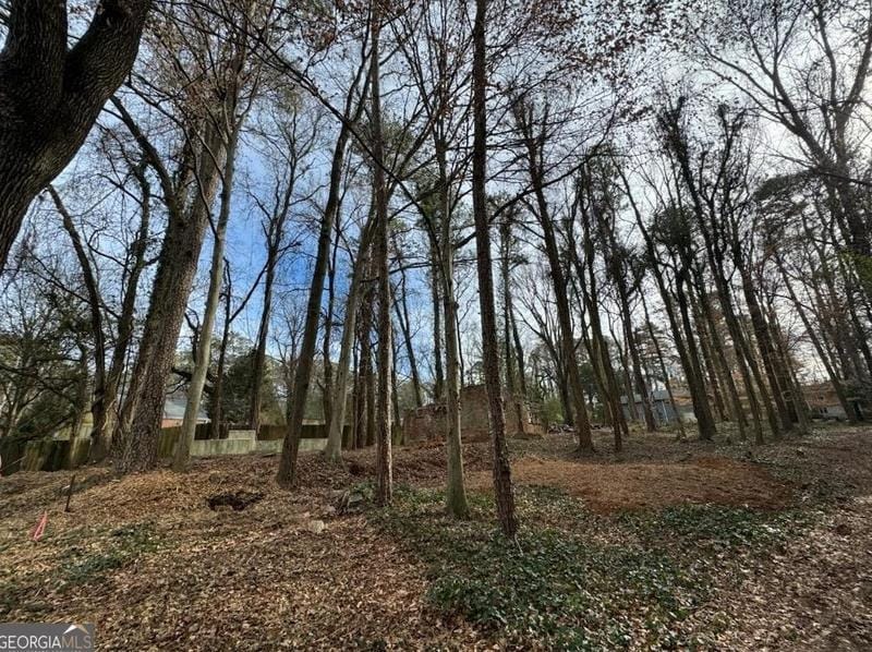 2673 Amelia Ave, Decatur, GA 30032 - MLS 10251995 for Sale
