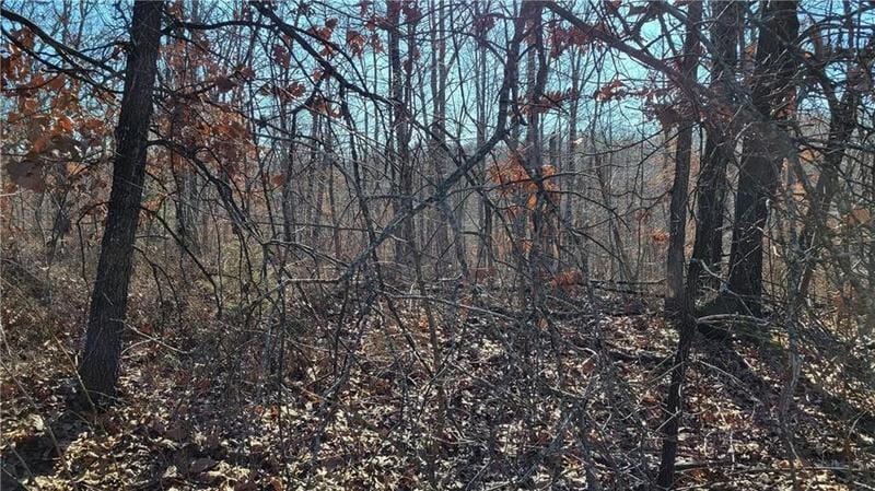 Bella Vista, Benton County, AR Undeveloped Land, Homesites for sale Property ID: 418911226