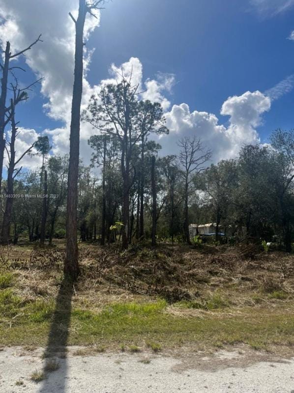 712 Woodland Blvd, Clewiston, FL 33440 - MLS A11483309 for Sale