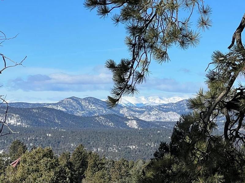 2369 N MOUNTAIN ESTATES RD, Florissant, CO 80816 Land For Sale  MLS# 70029