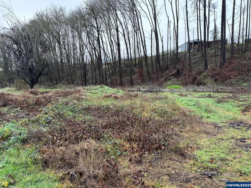 Mehama, Linn County, OR Undeveloped Land, Homesites for sale Property ID: 418483385