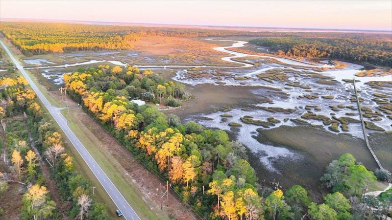 Woodbine, Camden County, GA Timberland Property, Undeveloped Land, Homesites for sale Property ID: 418845905