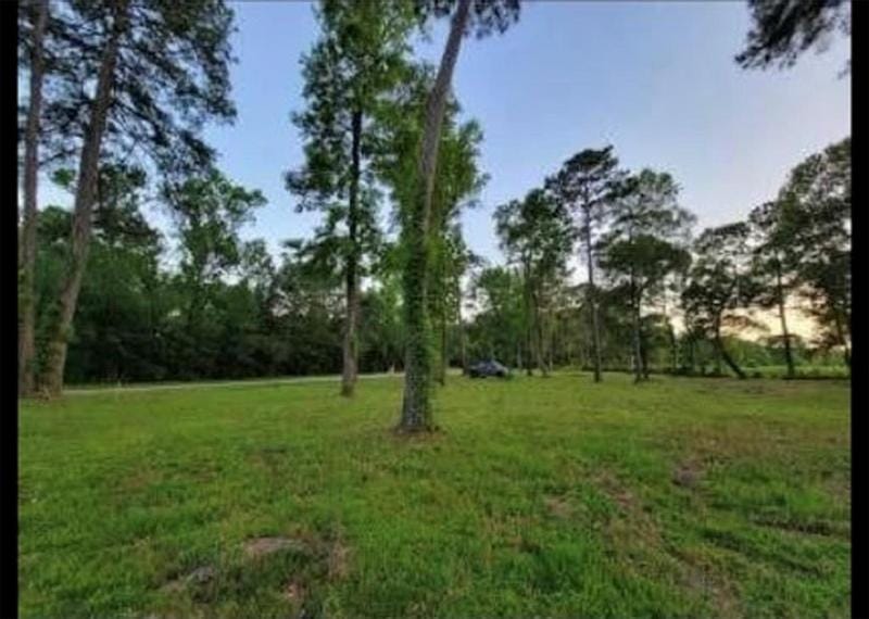 10171 Ehlers Rd, Conroe, TX 77302 for Sale