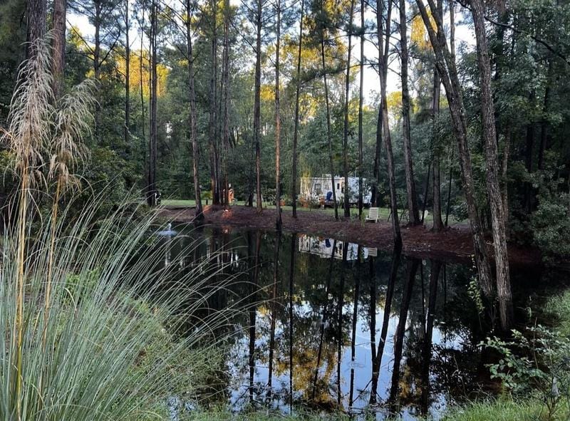 7810 Turtle Hl Ln, Edisto Island, SC 29438 - MLS 209271 for Sale