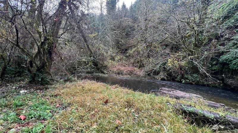 321 UPPERWEST RD, Castle Rock, WA 98611 Land For Sale  MLS# 2188861
