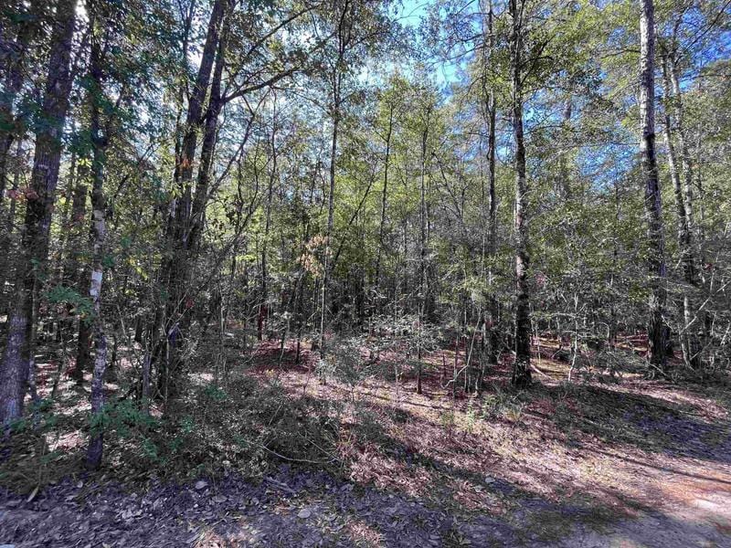 200 PR 5172, Buna, TX 77612 for Sale
