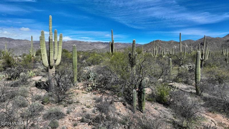 12555 E FORT LOWELL RD, Tucson, AZ 85749 Land For Sale  MLS# 22402312