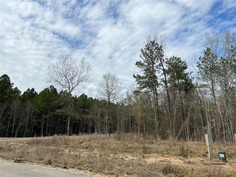 1467 Road 66114 Rd, Dayton, TX 77535 for Sale