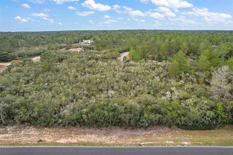 TBD FISHER ROAD, OCKLAWAHA, FL 32179 Land For Sale  MLS# G5076040