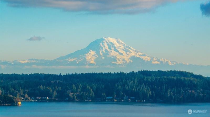 14817 90th Street Northwest, Lakebay, WA 98349 for Sale
