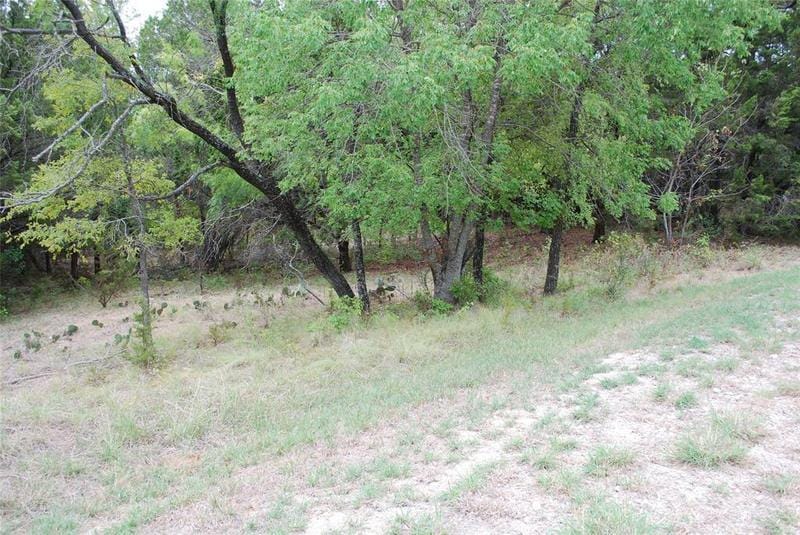 21031 Trailwood Dr, Whitney, TX 76692 for Sale