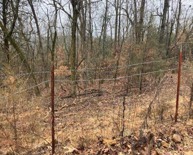 Williford, Sharp County, AR Undeveloped Land, Homesites for sale Property ID: 418903120