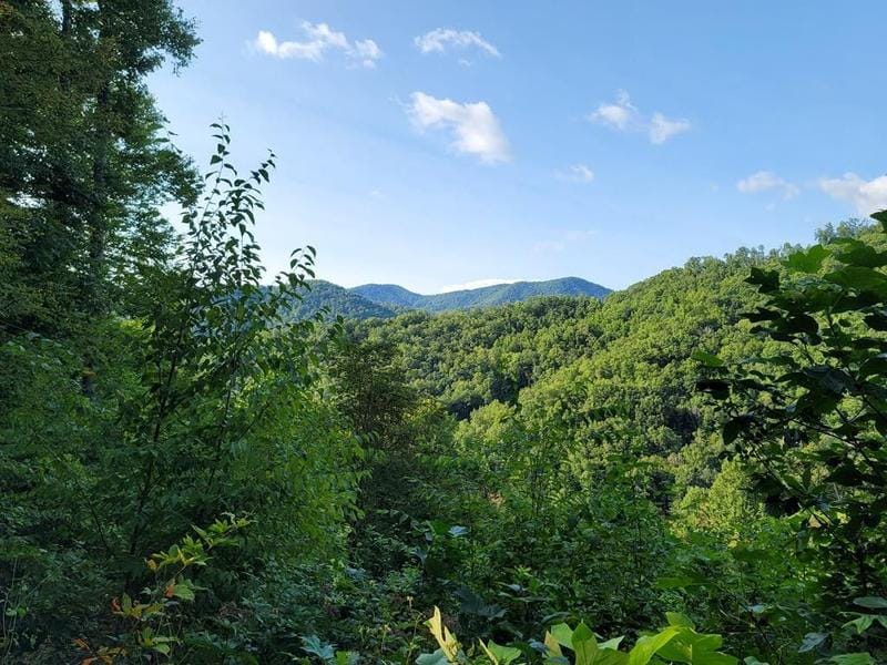 Franklin, Macon County, NC Undeveloped Land for sale Property ID: 418791728