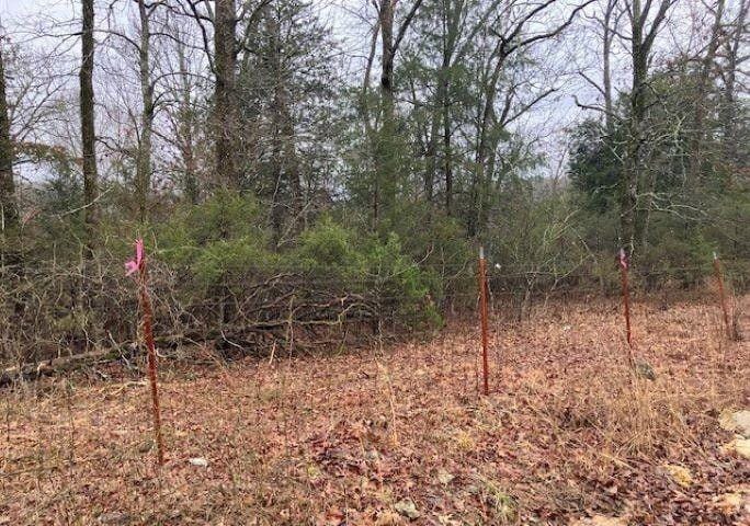 Williford, Sharp County, AR Undeveloped Land, Homesites for sale Property ID: 418903663