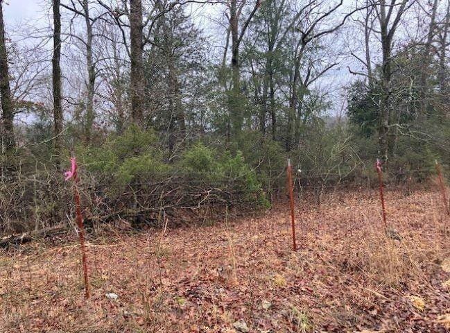 Williford, Sharp County, AR Undeveloped Land, Homesites for sale Property ID: 418903662
