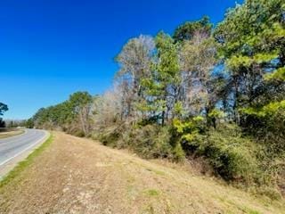 TBD FORDSVILLE ROAD, Tylertown, MS 39667 Land For Sale  MLS# 140717