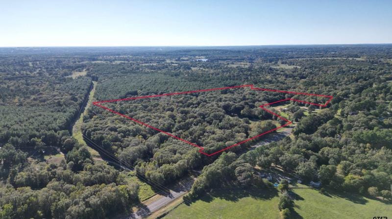 20880 TX-110, Troup, TX 75789 - MLS 23014131 for Sale