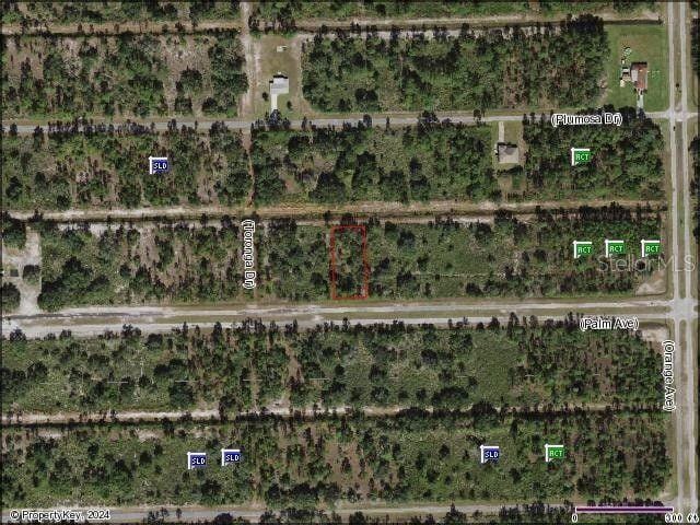 Indian Lake Estates, Polk County, FL Undeveloped Land, Homesites for sale Property ID: 418876639