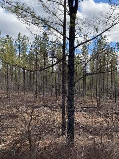 Lot 4 Thomas Springs Road, Unit LOT 4, Crossville, TN 38572 for Sale