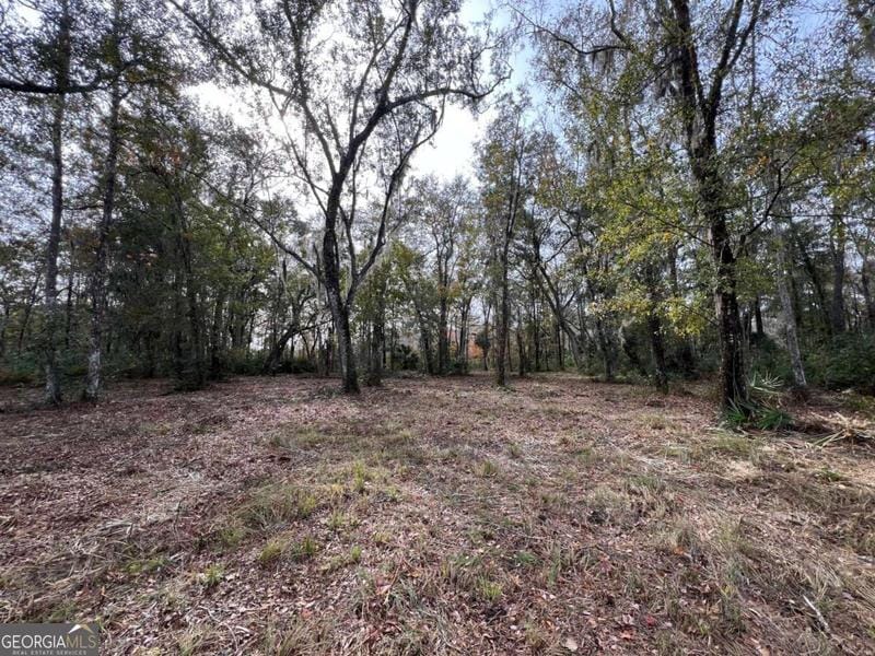 597 Salt Creek Way, Brunswick, GA 31523 for Sale