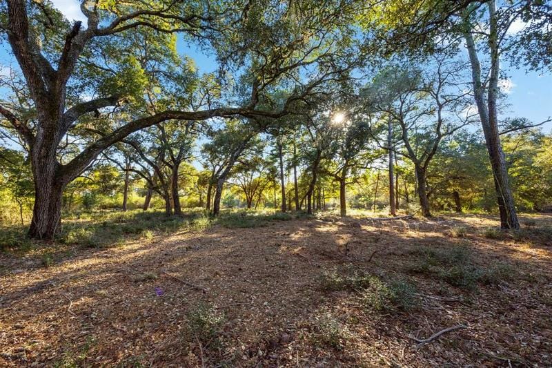 TBD ALLEYTON ROAD, Columbus, TX 78934 for Sale