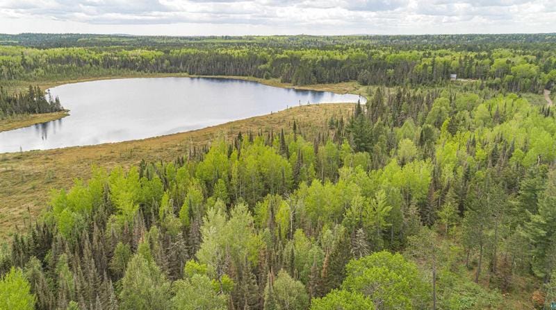 Tbd Victor Lake Rd, Isabella, MN 55607 - MLS 6111537 for Sale