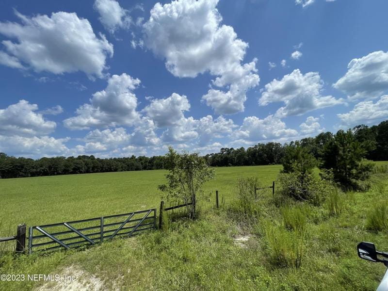 0 Dowling Road, Middleburg, FL 32068 for Sale